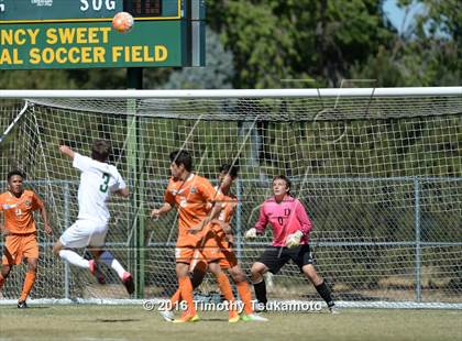 Thumbnail 2 in Douglas @ Bishop Manogue photogallery.