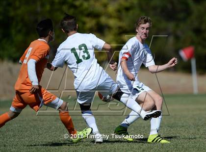 Thumbnail 1 in Douglas @ Bishop Manogue photogallery.