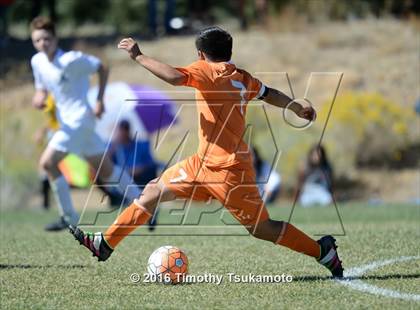 Thumbnail 2 in Douglas @ Bishop Manogue photogallery.