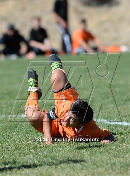 Thumbnail 2 in Douglas @ Bishop Manogue photogallery.