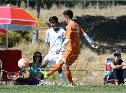 Thumbnail 2 in Douglas @ Bishop Manogue photogallery.