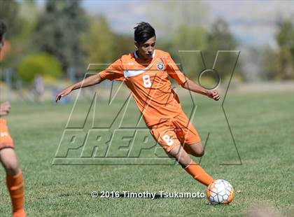 Thumbnail 1 in Douglas @ Bishop Manogue photogallery.
