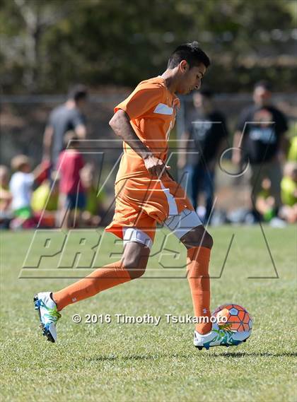 Thumbnail 2 in Douglas @ Bishop Manogue photogallery.