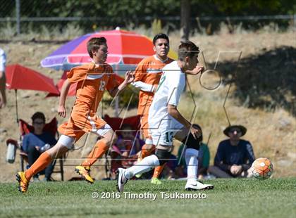 Thumbnail 1 in Douglas @ Bishop Manogue photogallery.