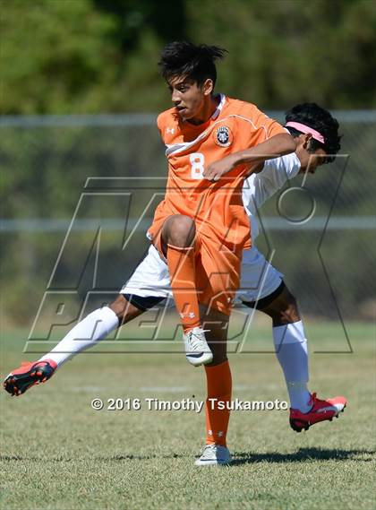 Thumbnail 2 in Douglas @ Bishop Manogue photogallery.