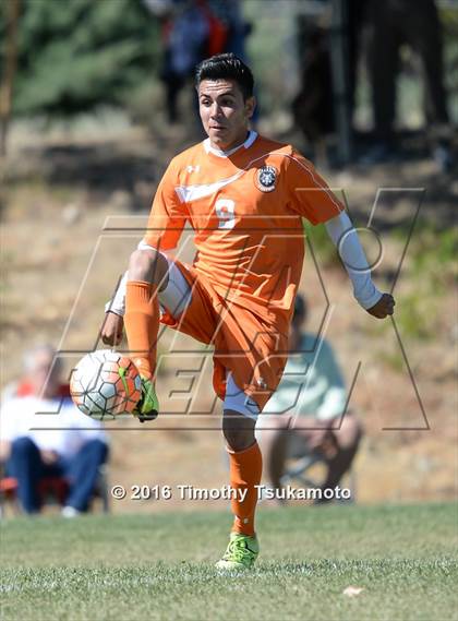 Thumbnail 1 in Douglas @ Bishop Manogue photogallery.