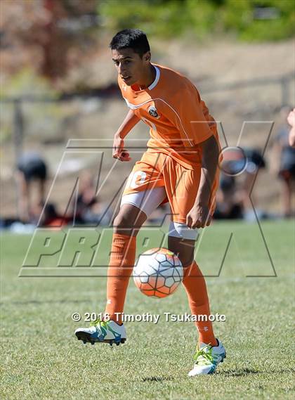Thumbnail 2 in Douglas @ Bishop Manogue photogallery.