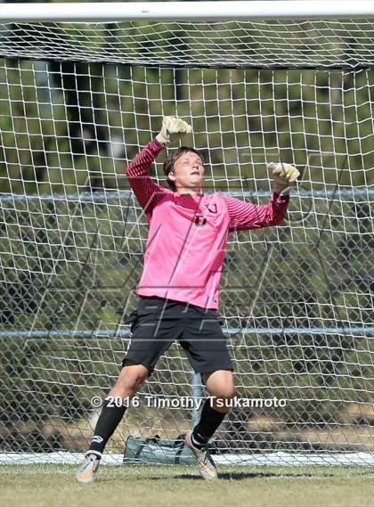 Thumbnail 1 in Douglas @ Bishop Manogue photogallery.