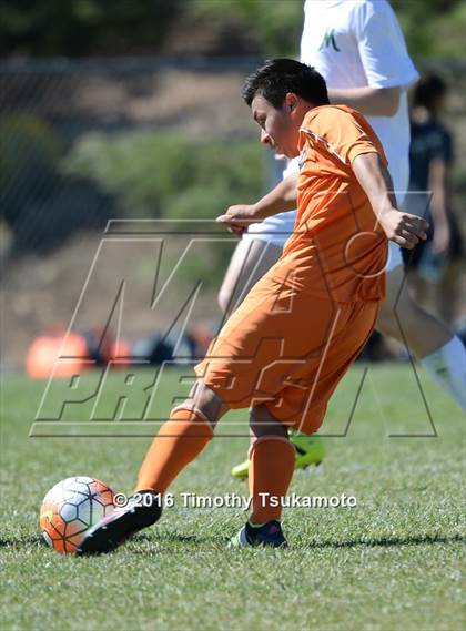 Thumbnail 3 in Douglas @ Bishop Manogue photogallery.