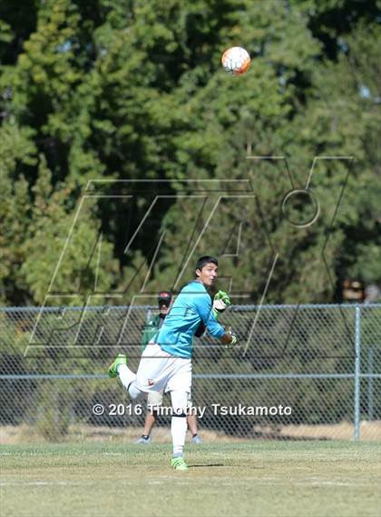 Thumbnail 3 in Douglas @ Bishop Manogue photogallery.