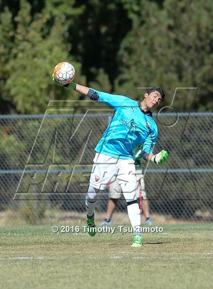 Thumbnail 2 in Douglas @ Bishop Manogue photogallery.