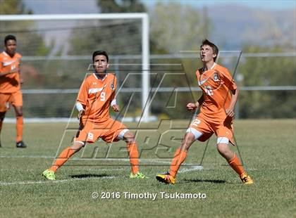 Thumbnail 1 in Douglas @ Bishop Manogue photogallery.