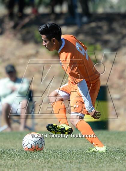 Thumbnail 3 in Douglas @ Bishop Manogue photogallery.
