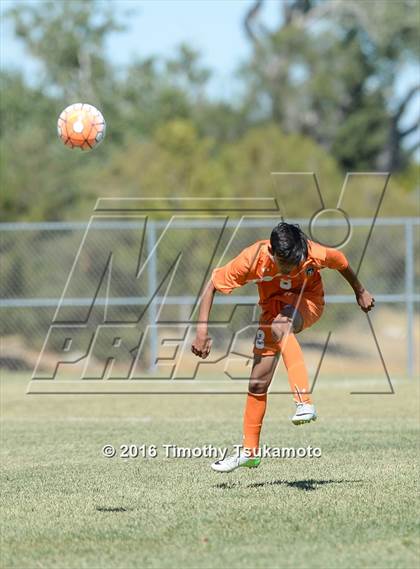 Thumbnail 1 in Douglas @ Bishop Manogue photogallery.