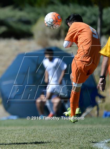 Thumbnail 3 in Douglas @ Bishop Manogue photogallery.
