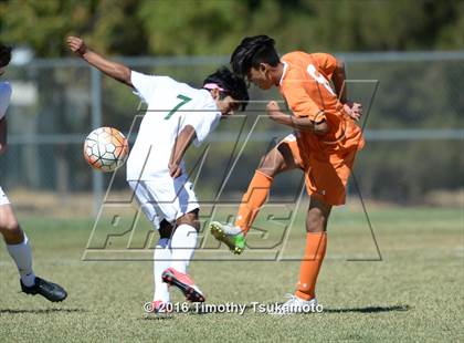 Thumbnail 1 in Douglas @ Bishop Manogue photogallery.