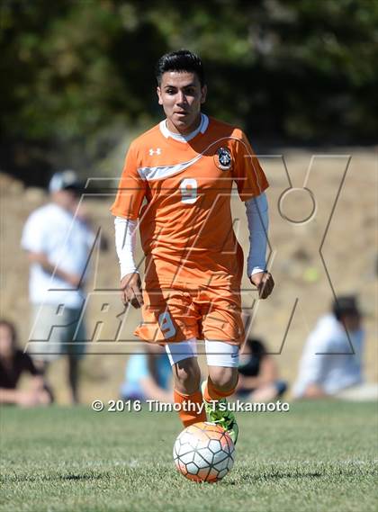 Thumbnail 2 in Douglas @ Bishop Manogue photogallery.