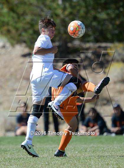 Thumbnail 1 in Douglas @ Bishop Manogue photogallery.