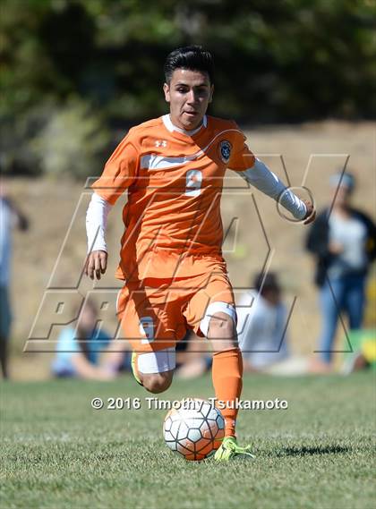 Thumbnail 3 in Douglas @ Bishop Manogue photogallery.