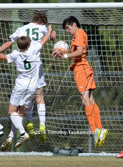 Thumbnail 1 in Douglas @ Bishop Manogue photogallery.