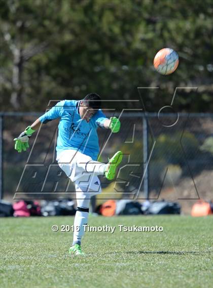Thumbnail 1 in Douglas @ Bishop Manogue photogallery.