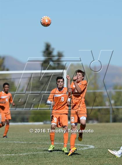 Thumbnail 2 in Douglas @ Bishop Manogue photogallery.