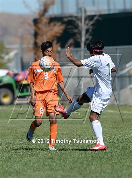 Thumbnail 1 in Douglas @ Bishop Manogue photogallery.
