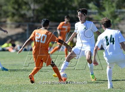 Thumbnail 3 in Douglas @ Bishop Manogue photogallery.