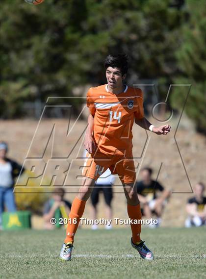 Thumbnail 2 in Douglas @ Bishop Manogue photogallery.