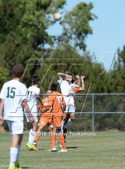 Thumbnail 2 in Douglas @ Bishop Manogue photogallery.