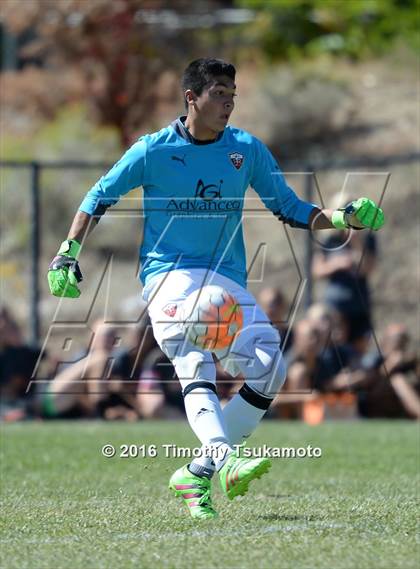 Thumbnail 1 in Douglas @ Bishop Manogue photogallery.