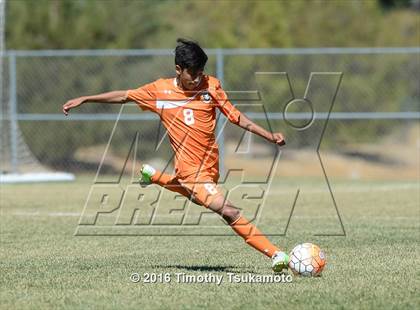 Thumbnail 3 in Douglas @ Bishop Manogue photogallery.