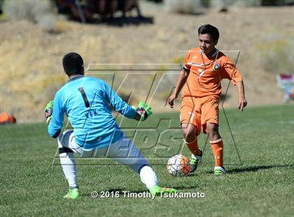 Thumbnail 1 in Douglas @ Bishop Manogue photogallery.