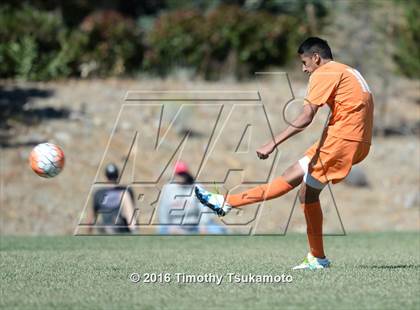 Thumbnail 1 in Douglas @ Bishop Manogue photogallery.