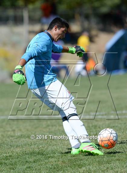 Thumbnail 2 in Douglas @ Bishop Manogue photogallery.