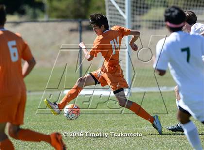 Thumbnail 1 in Douglas @ Bishop Manogue photogallery.