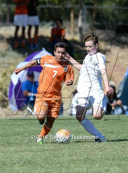 Thumbnail 1 in Douglas @ Bishop Manogue photogallery.