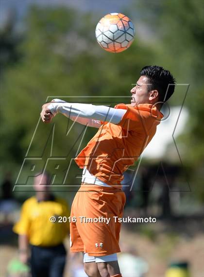 Thumbnail 3 in Douglas @ Bishop Manogue photogallery.
