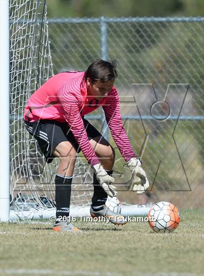 Thumbnail 3 in Douglas @ Bishop Manogue photogallery.