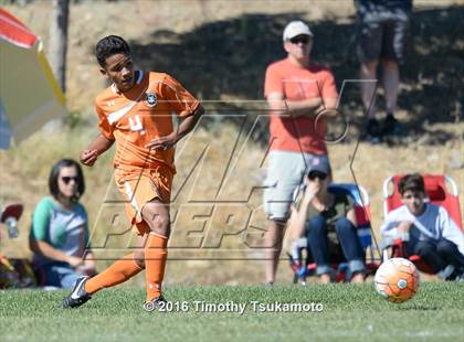 Thumbnail 1 in Douglas @ Bishop Manogue photogallery.