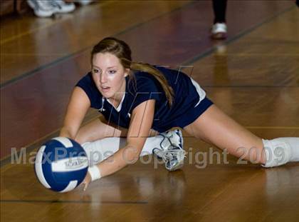 Thumbnail 3 in Modesto @ Beyer photogallery.