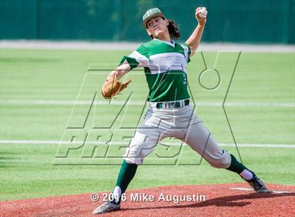 Thumbnail 3 in Prosper @ McKinney North photogallery.