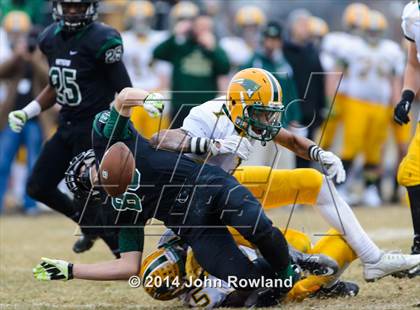 Thumbnail 3 in Stevenson @ Glenbard West (IHSA Class 8A Semifinal) photogallery.