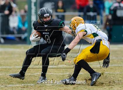 Thumbnail 1 in Stevenson @ Glenbard West (IHSA Class 8A Semifinal) photogallery.