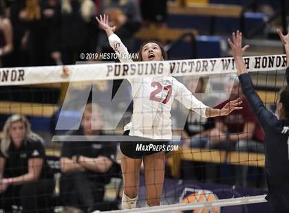 Thumbnail 2 in Marin Catholic vs. Torrey Pines (CIF State Open Final) photogallery.