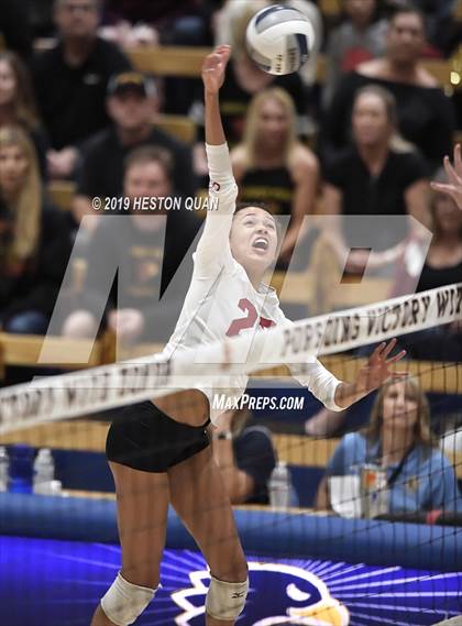 Thumbnail 3 in Marin Catholic vs. Torrey Pines (CIF State Open Final) photogallery.