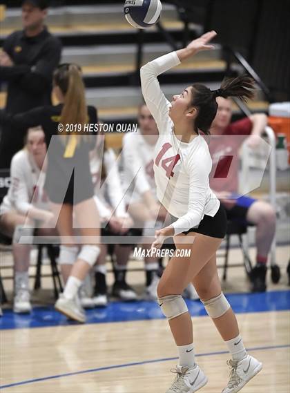 Thumbnail 2 in Marin Catholic vs. Torrey Pines (CIF State Open Final) photogallery.