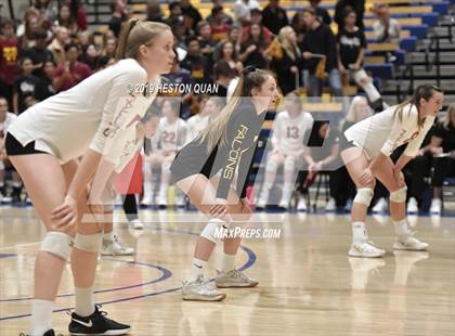 Thumbnail 3 in Marin Catholic vs. Torrey Pines (CIF State Open Final) photogallery.