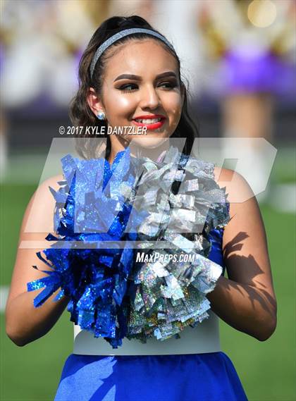 Thumbnail 1 in Nimitz @ Timber Creek photogallery.