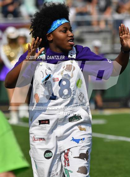 Thumbnail 1 in Nimitz @ Timber Creek photogallery.